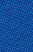 Electric Blue