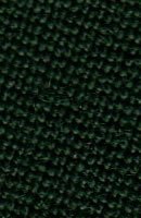 Spruce