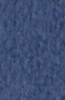 Academy Blue